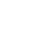 icon transparent white
